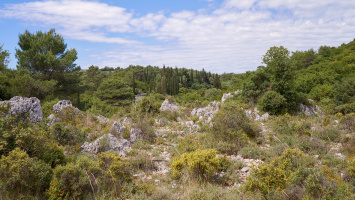 Zakynthos mei 2024